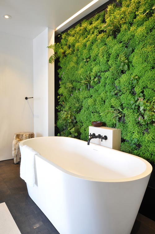 vasca da bagno con muro verde