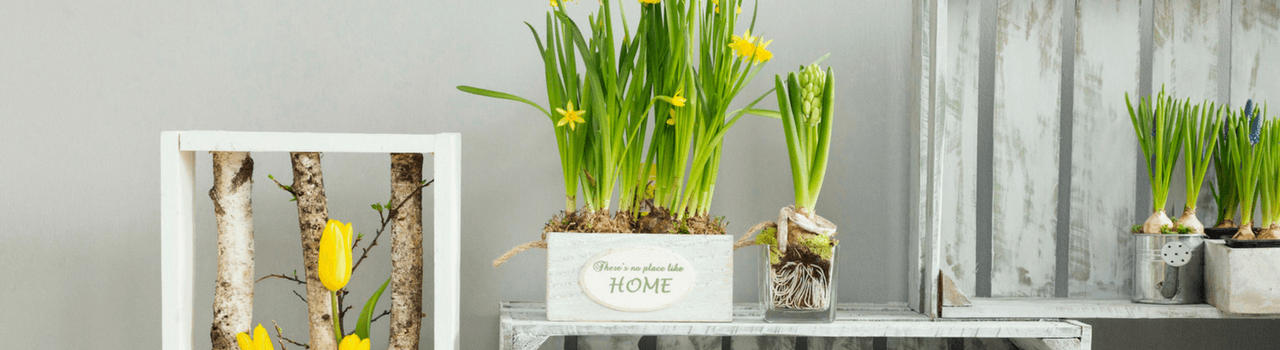 Shabby Chic: origine dello stile e consigli d’arredamento Shabby Chic: origine dello stile e consigli d’arredamento