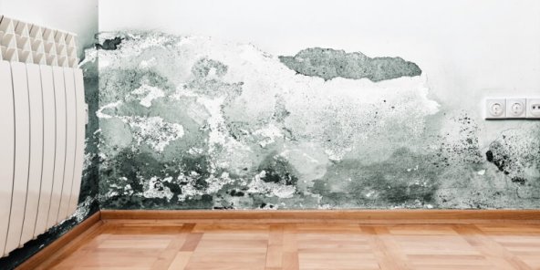 Come eliminare la muffa dai muri di casa? Qualche consiglio | Facile Ristrutturare Come eliminare la muffa dai muri di casa? Qualche consiglio