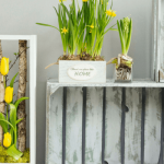 PArete attrezzata mensole in stile shabby chic con piante