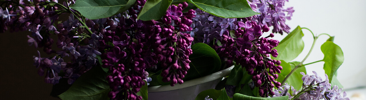A CASA CON STILE – Ultra Violet e Interior Design A CASA CON STILE – Ultra Violet e Interior Design