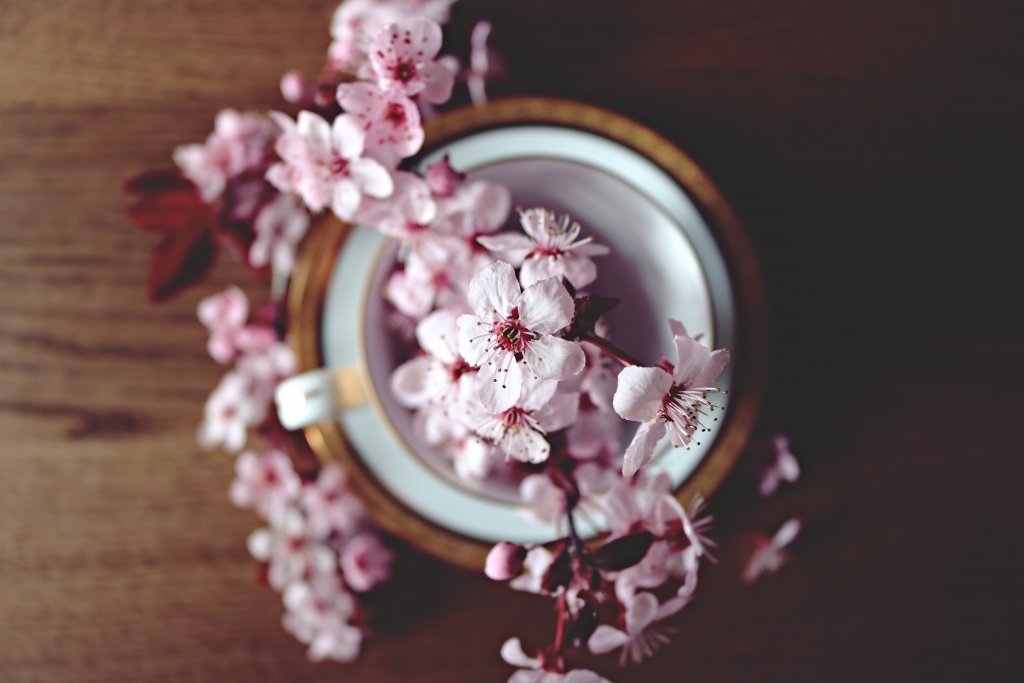 Fiori in vaso