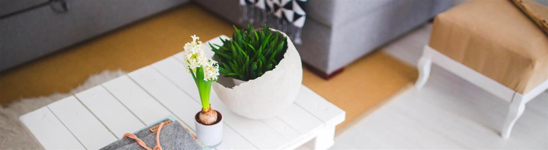 Creatività e Fai da te: scopri ora i consigli per una casa di tendenza! Creatività e Fai da te: scopri ora i consigli per una casa di tendenza!