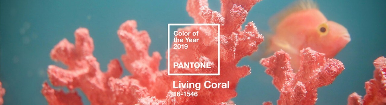 A CASA CON STILE. Benvenuto 2019, bentornato Pantone of the year: Living Coral A CASA CON STILE. Benvenuto 2019, bentornato Pantone of the year: Living Coral