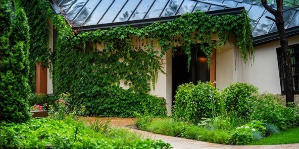 BONUS VERDE 2020: COS'È E COME FUNZIONA | Facile Ristrutturare BONUS VERDE 2020: COS’È E COME FUNZIONA