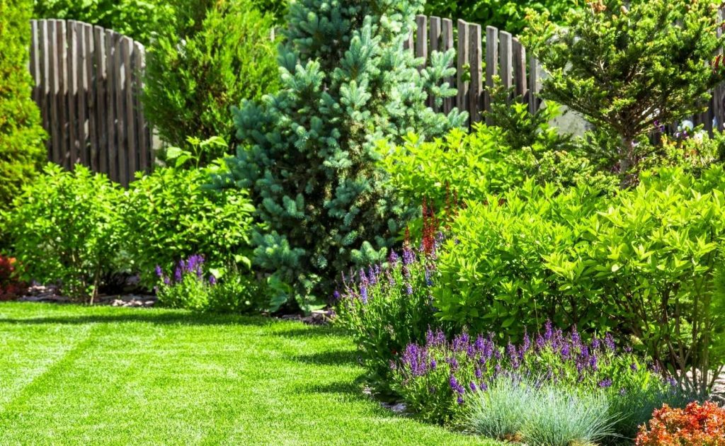 Casa green? Risparmia con il Bonus Verde: tutte le novità per il 2021 | Facile Ristrutturare Giardino recintato con piante e fiori
