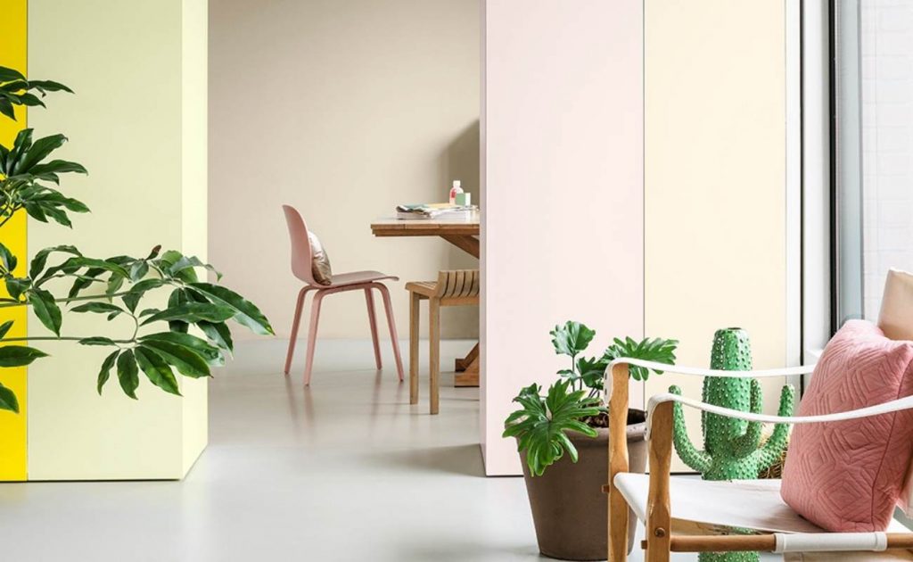 Living con pareti gialle e beige. Piante verdi e cactus posizionate accanto a una sedia con cuscino rosa.