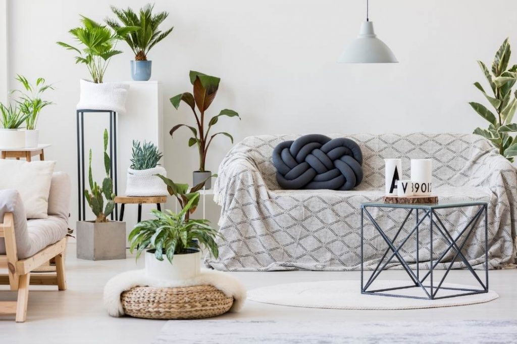 Stile Jungle per la casa vacanze di Paola Marella | Facile Ristrutturare Living stile jungle con piante verdi.