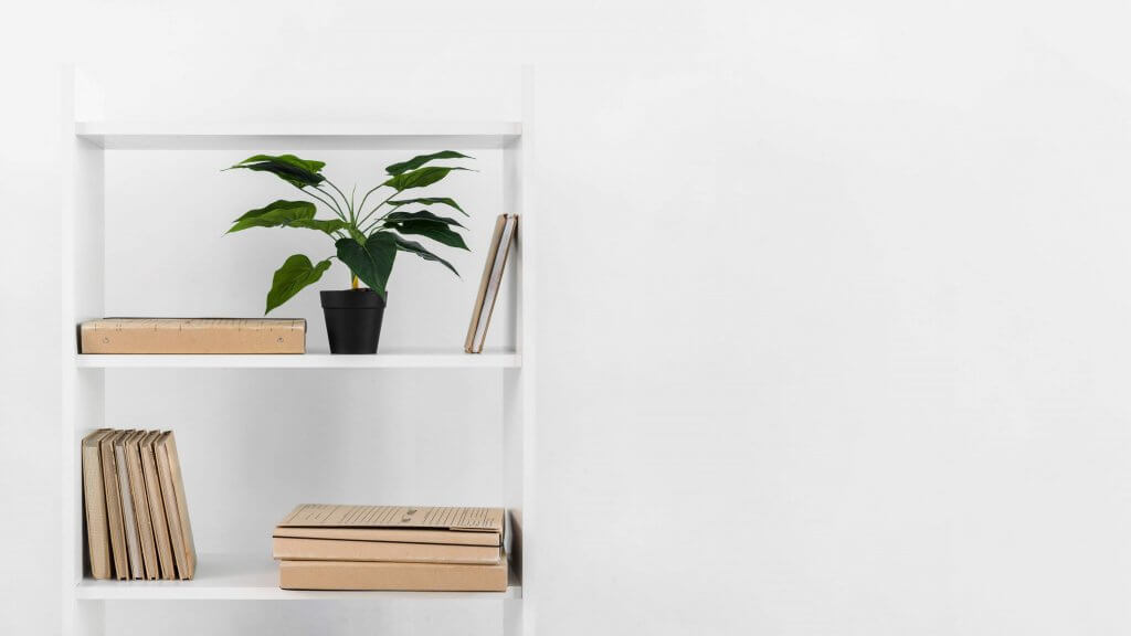 libreria da parete con libri e piante