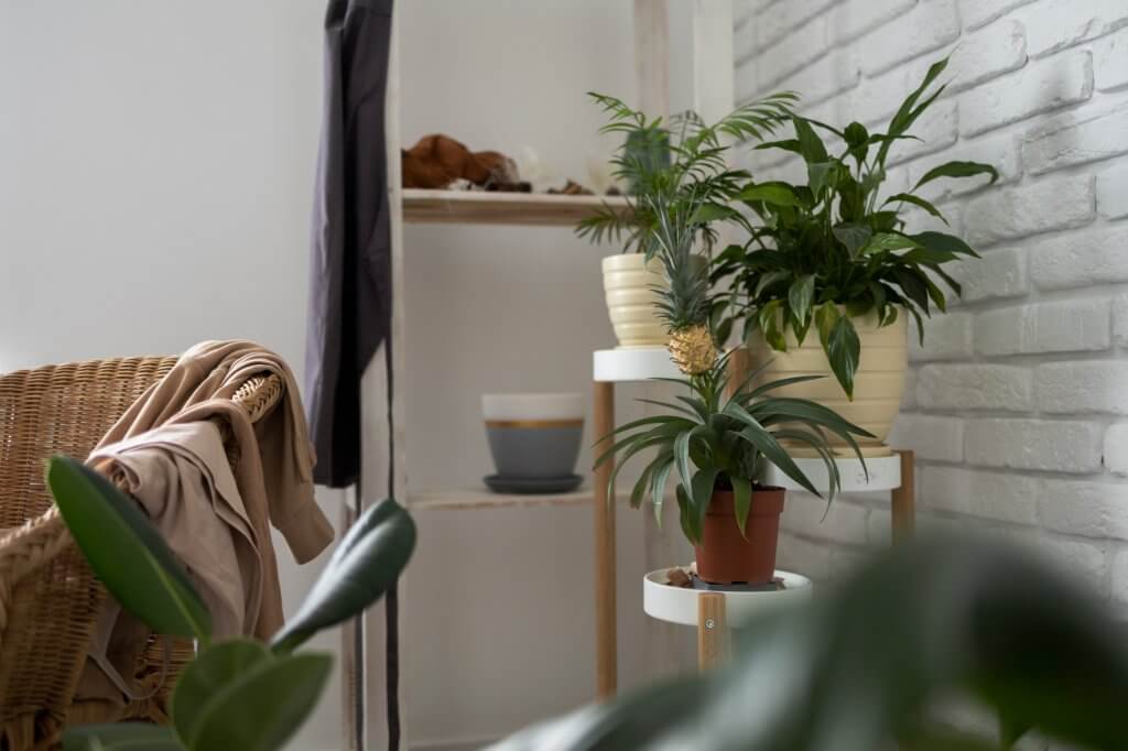 5 Consigli per rinnovare la casa in Primavera | Facile Ristrutturare Piante con sedia in legno e muro in mattoni bianco