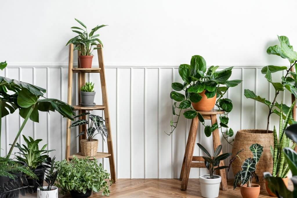 5 Consigli per rinnovare la casa in Primavera | Facile Ristrutturare Soggiorno con piante in vaso di ceramica e parquet in legno