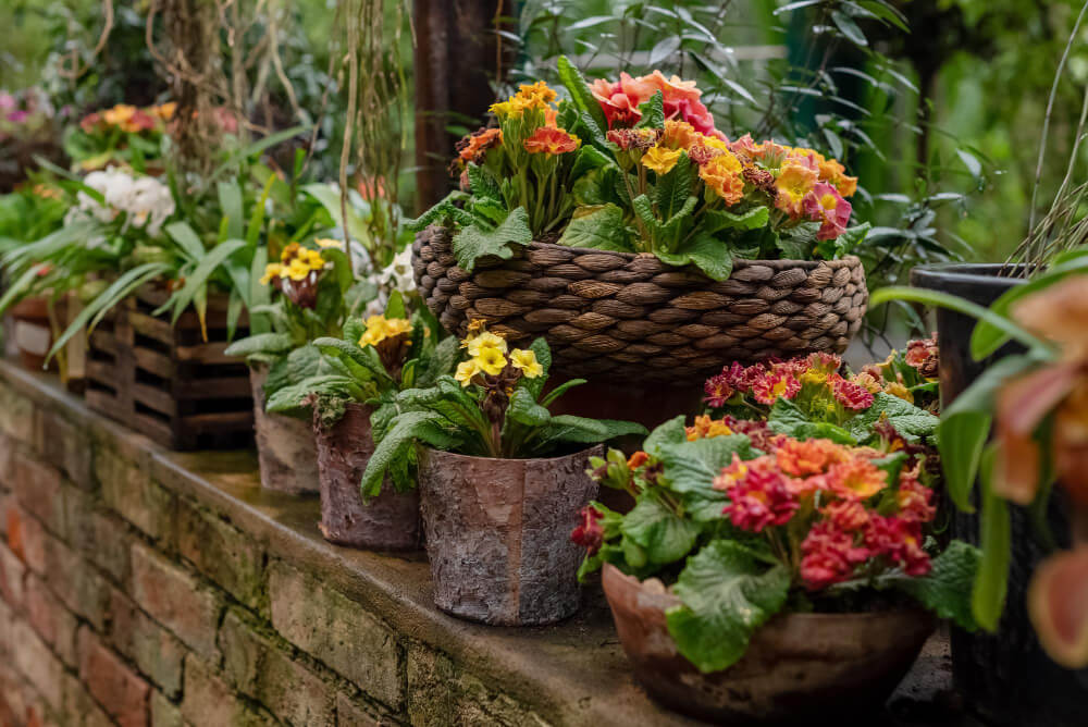 5 Consigli per rinnovare la casa in Primavera | Facile Ristrutturare Muro con fiori in vasi di legno e ceramica