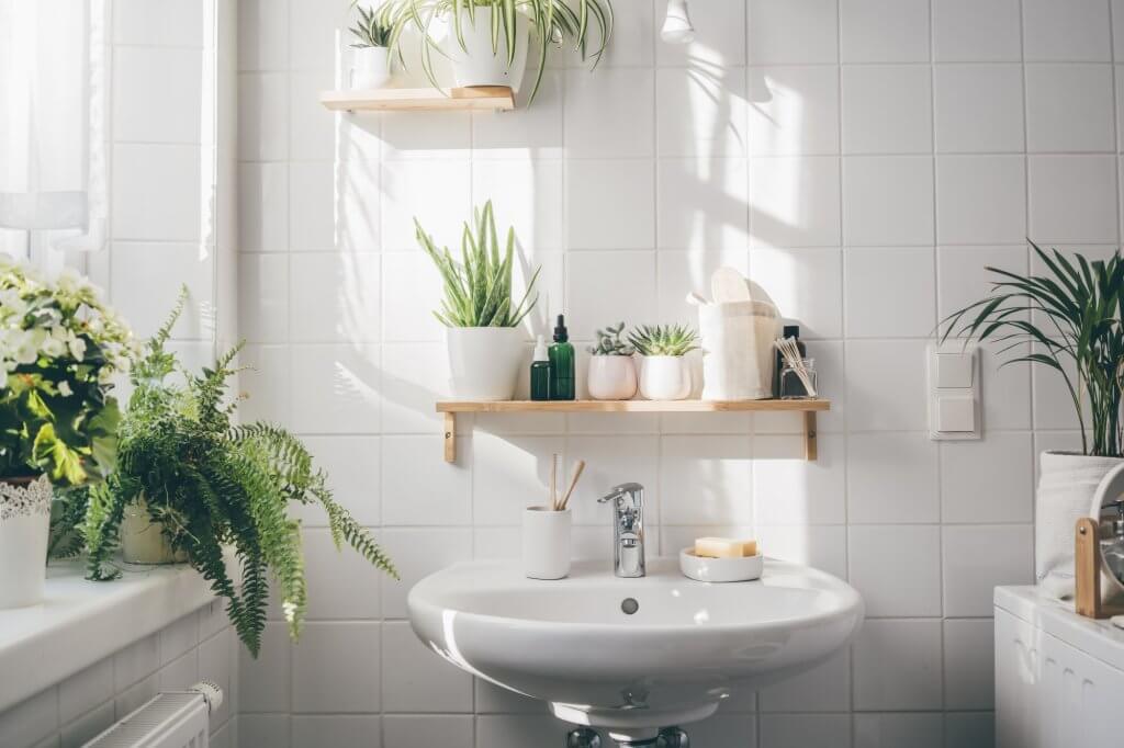 Ad ogni stanza la sua pianta! Come arredare casa con le piante da interni | Facile Ristrutturare Bagno bianco con mensola in legno e piante