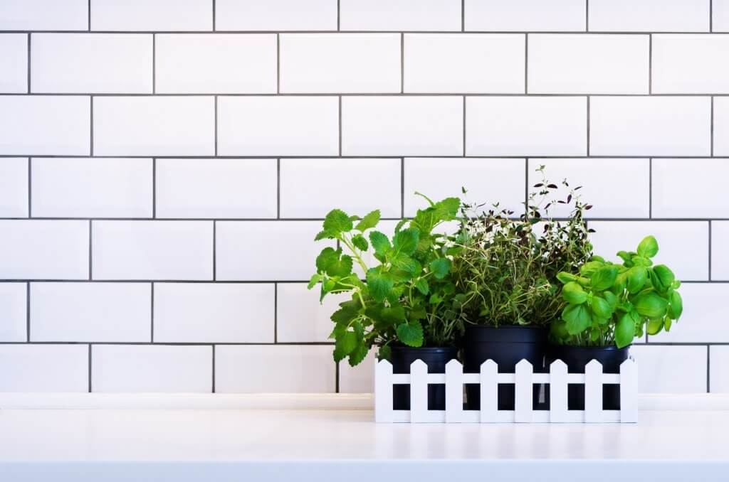 Ad ogni stanza la sua pianta! Come arredare casa con le piante da interni | Facile Ristrutturare Piante in vasi neri di plastica con una parete in mattoni bianchi