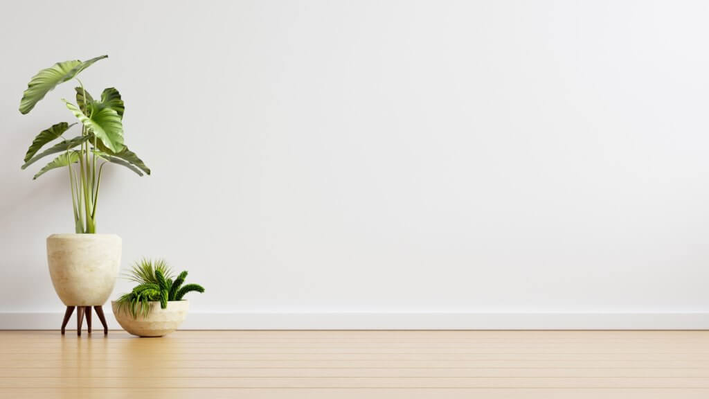 Ad ogni stanza la sua pianta! Come arredare casa con le piante da interni | Facile Ristrutturare Soggiorno con piante in vaso bianco con parquet in legno