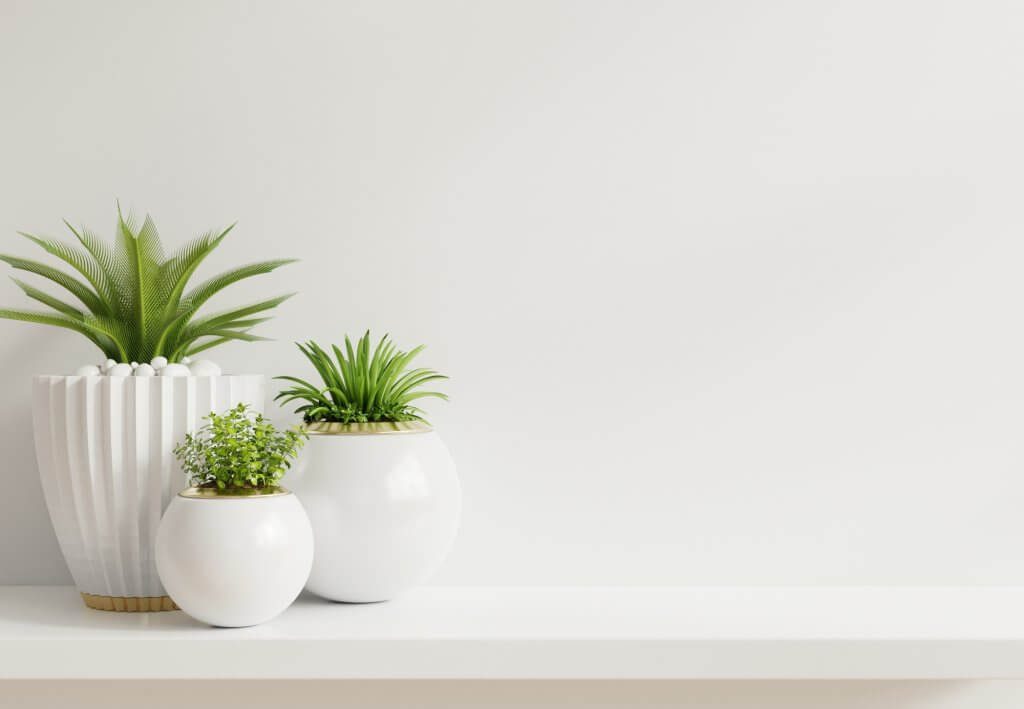 Ad ogni stanza la sua pianta! Come arredare casa con le piante da interni | Facile Ristrutturare Piantine in vasi bianchi con rifiniture in oro su mensola