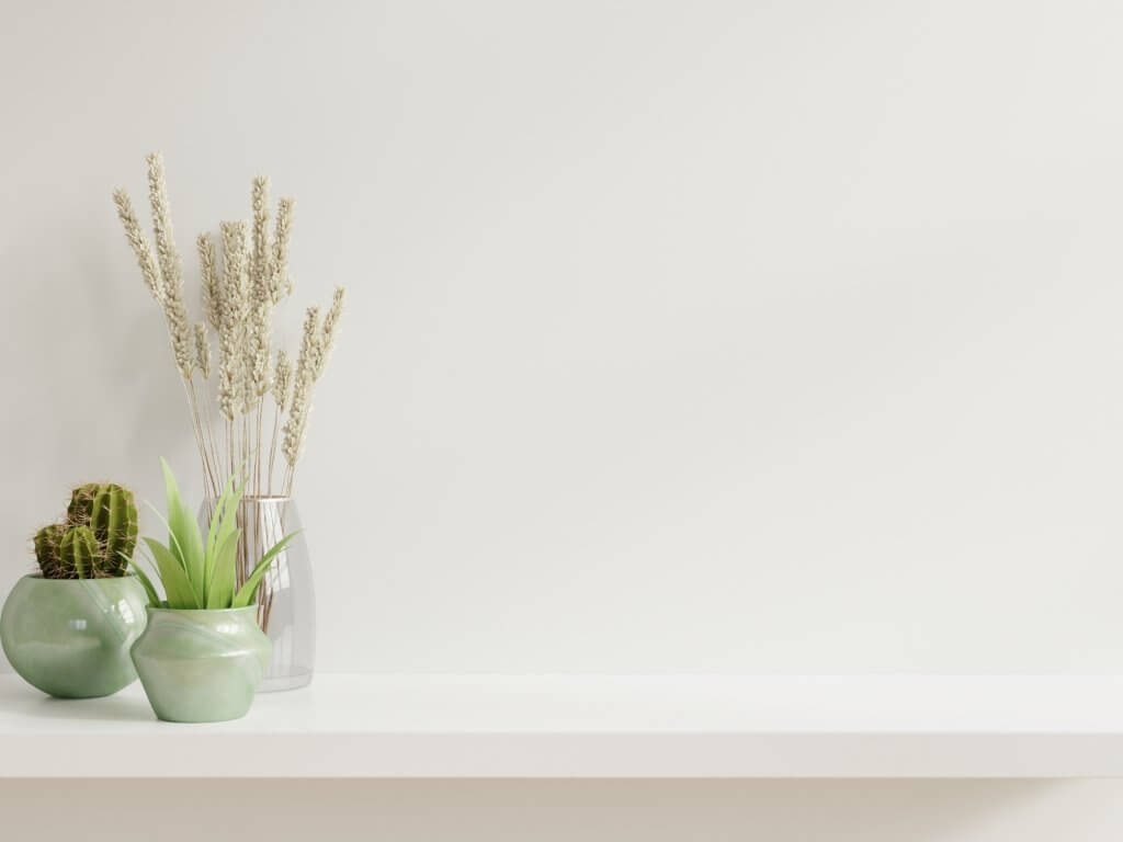 Ad ogni stanza la sua pianta! Come arredare casa con le piante da interni | Facile Ristrutturare Piante e fiori in vasi clorati su una mensola bianca