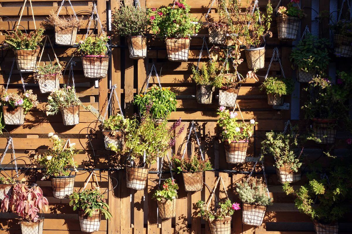 giardino verticale realizzato con vasi