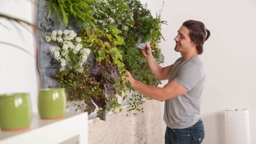 ricreare un giardino verticale in casa